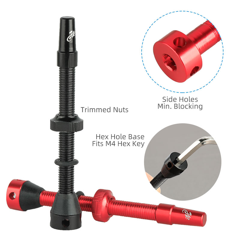 Katup Presta Velg Karbon Tubel - Tubeless Valve Core ulasan dan harga