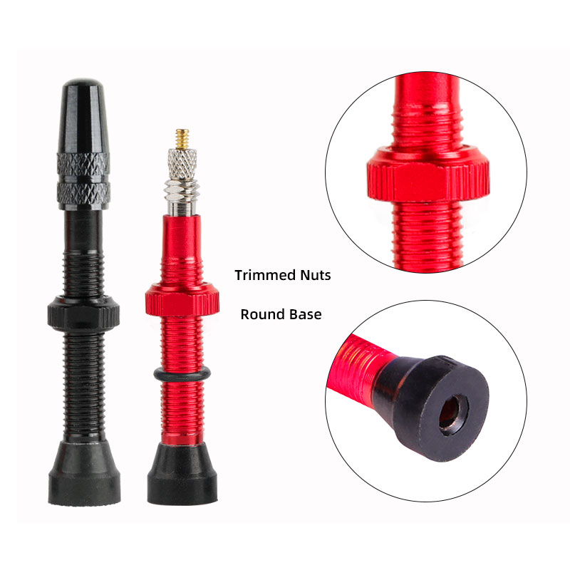 100/120Mm F/V Nozel Tubeless B - Tubeless Valve Core ulasan dan harga